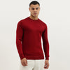 Men Regular Fit Crew Neck Solid Premium Sweater