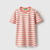 Boys Regular Fit Round Neck Striped T-Shirt
