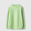 Boys Regular Fit Round Neck Applique Gen-Z Verbiage In Technique Sweatshirt