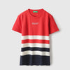 Boys Regular Fit Round Neck Striped T-Shirt