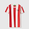 Boys Regular Fit Round Neck Striped Vertical Tuck T-Shirt