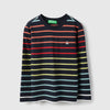 Boys Regular Fit Round Neck Striped T-Shirt