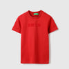 Boys Regular Fit Round Neck Solid Flock T-Shirt