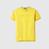 Boys Regular Fit Round Neck Solid Flock T-Shirt