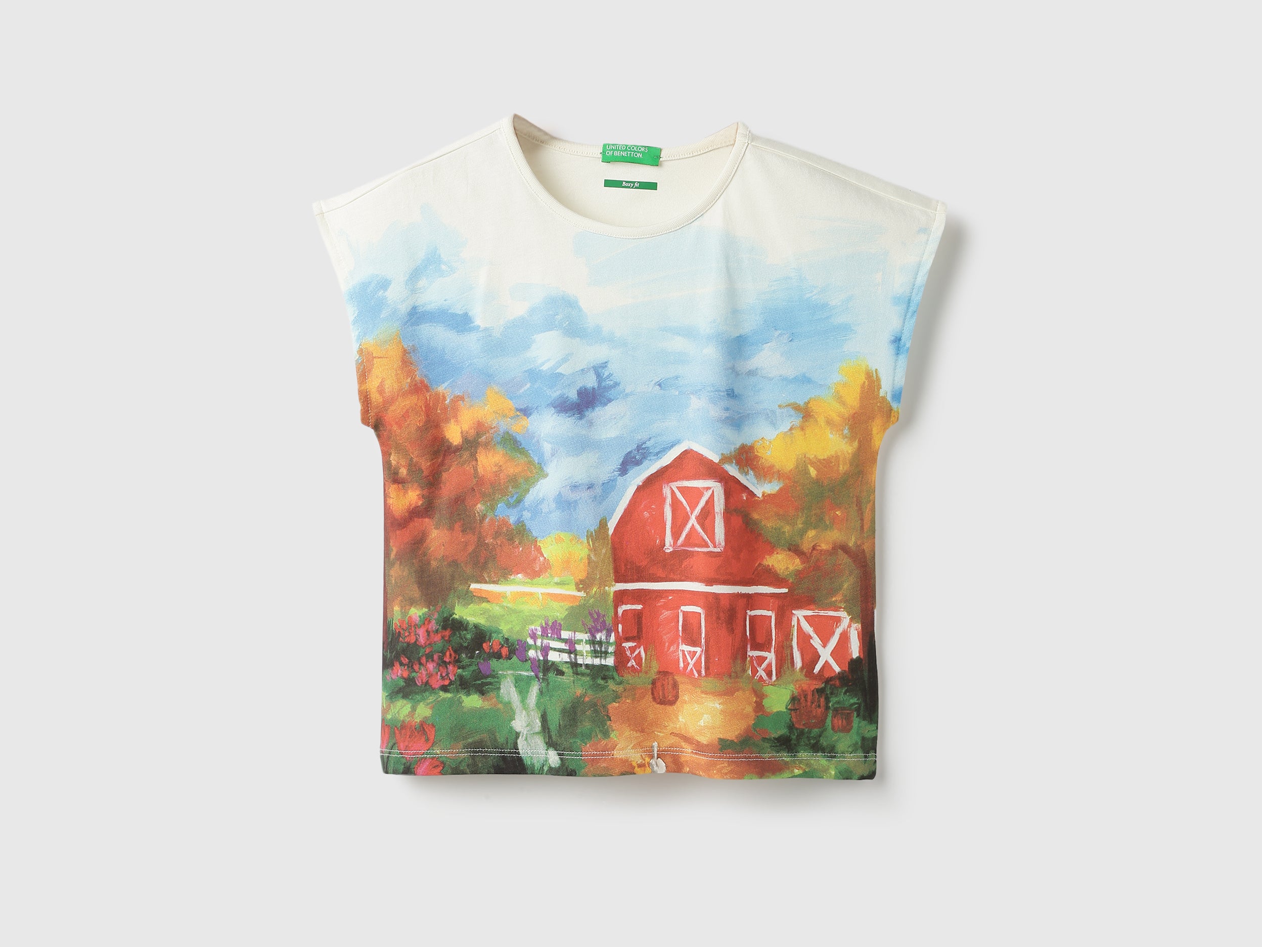 Cropped Fit Round Neck Graphic Print T-Shirt