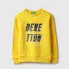 Boys Regular Fit Round Neck Printed Sweatshirt