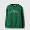Boys Regular Fit Round Neck Printed Sweatshirt