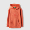 Boys Regular Fit Hooded Neck Embroidered Agendered Sweatshirt