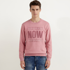 Regular Fit Round Neck Embroidered Sweatshirt