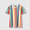 Boys Regular Fit Round Neck Striped T-shirt
