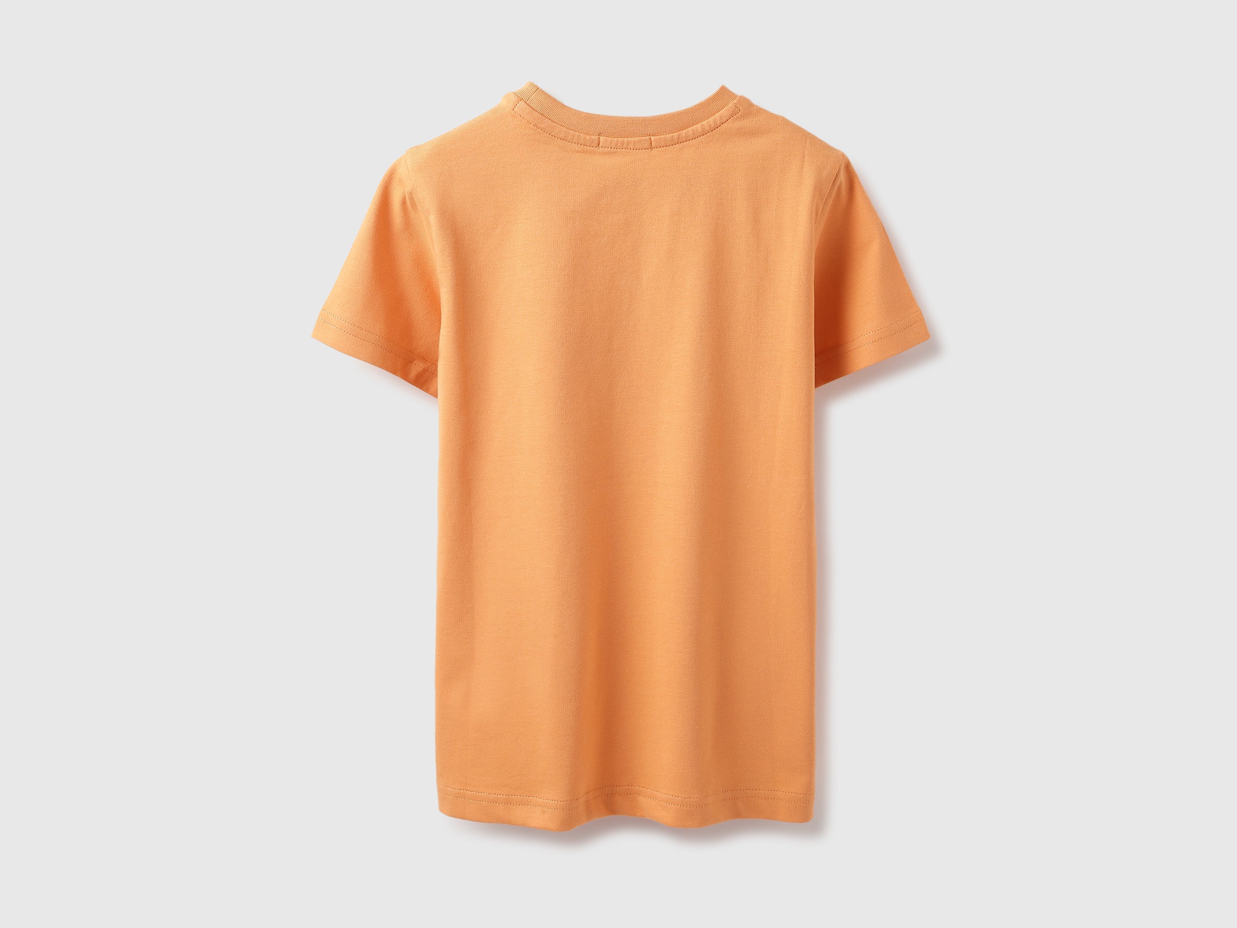 Regular Fit Round Neck Typography T-shirt