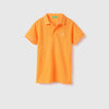 Boys Regular Polo Neck Solid T-Shirt