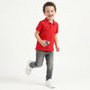 Regular Fit Polo Neck Solid T-Shirt