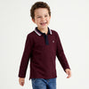 Regular Fit Polo Neck Solid T-Shirt