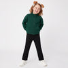 Regular Fit High Neck Solid Sweatshirt