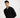 Regular Fit Polo Neck Solid T-Shirt