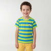 Boys Regular Fit Round Neck Striped T-Shirt