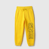 Boys Regular Fit Mid Rise Joggers