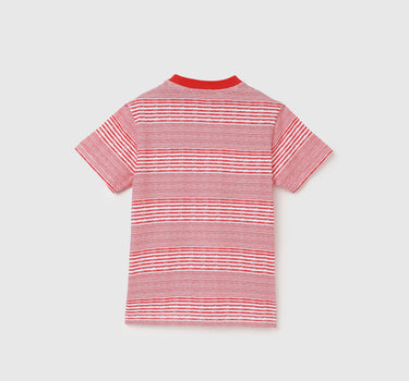 Regular Fit Round Neck Striped T-Shirt