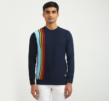 Men Striped Round Neck Sweater