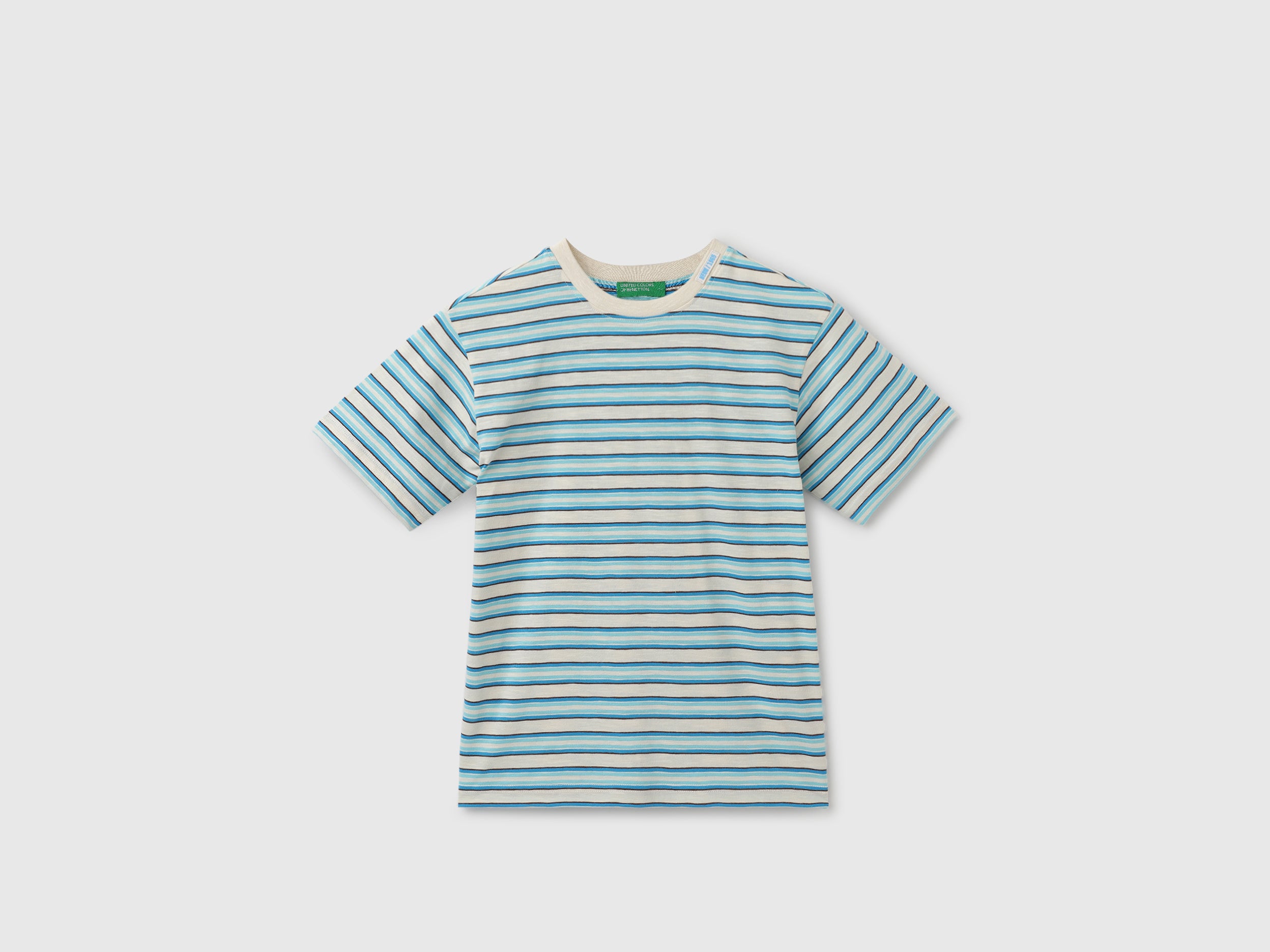 Regular Fit Round Neck Striped T-Shirt