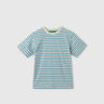 Regular Fit Round Neck Striped T-Shirt