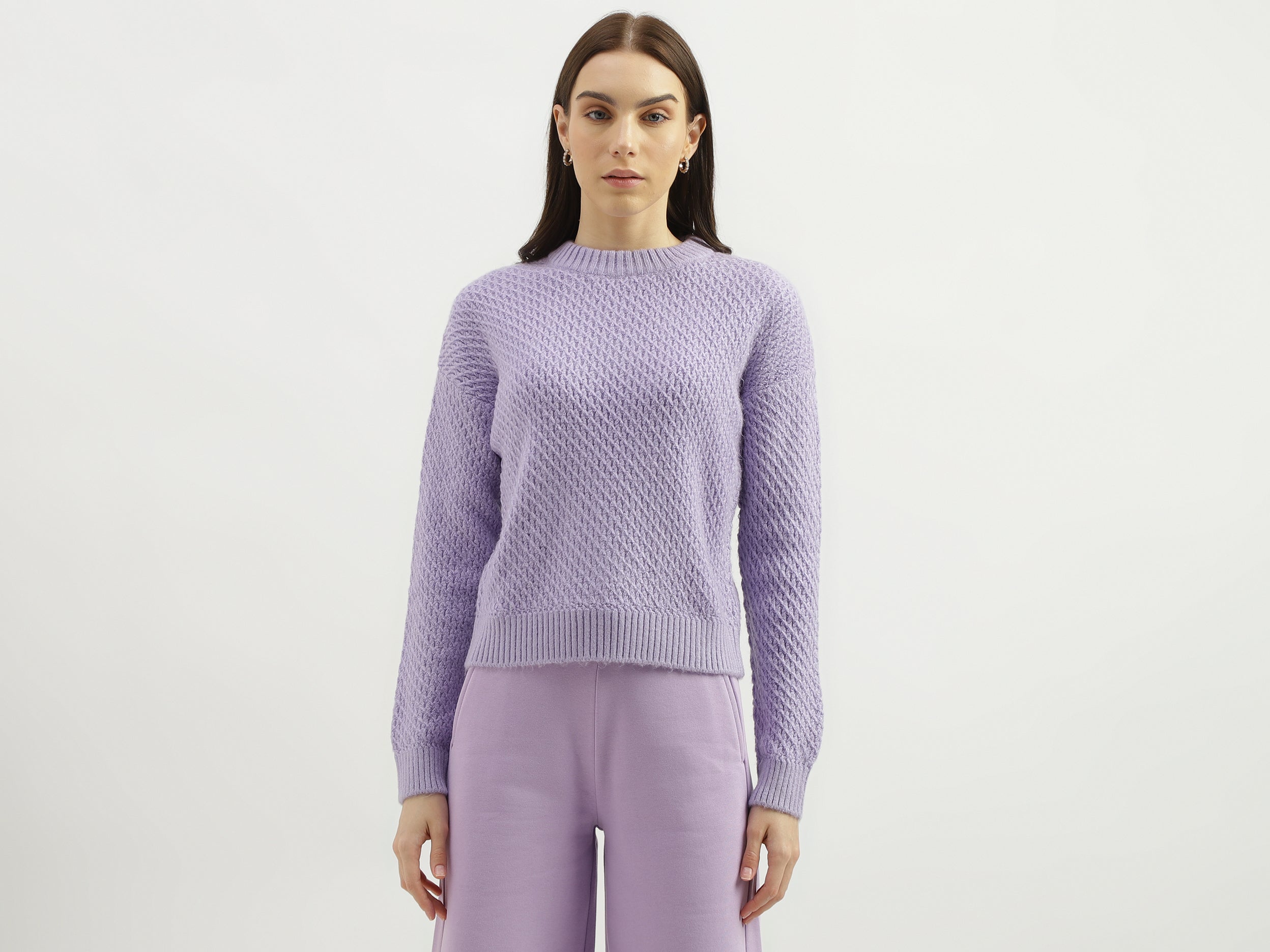 Regular Fit Round Neck Solid Sweater