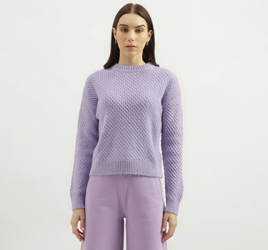 Regular Fit Round Neck Solid Sweater