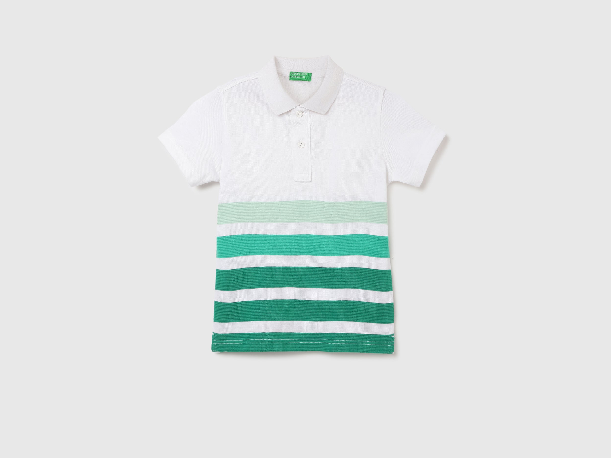 Regular Fit Polo Neck Striped T-shirt