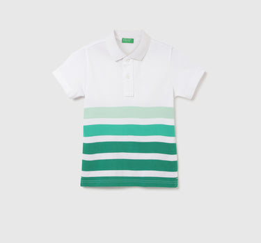 Regular Fit Polo Neck Striped T-shirt