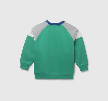 Regular Fit Crew Neck Colorblocked Boy's Sweatshirt