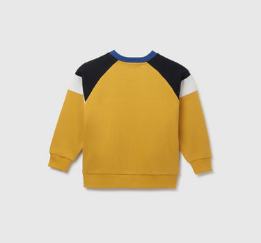 Regular Fit Crew Neck Colorblocked Boy's Sweatshirt