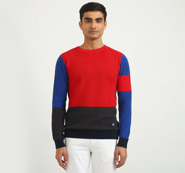 Men Colorblock Round Neck Sweater