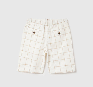 Checkered Regular Fit Shorts