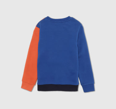 Boys Long Sleeve Colourblocked Sweatshirt