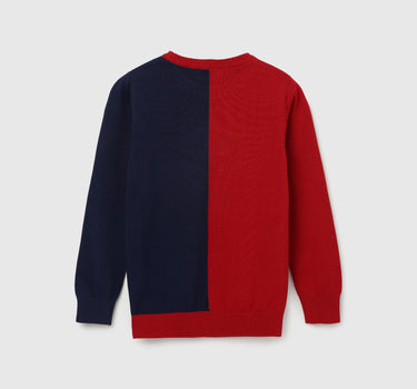 Boy's Regular Fit Crew Neck Colorblock Sweater