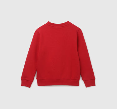 Boy's Regular Fit Crew Neck Printed Sweatshirt