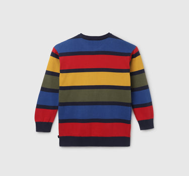 Boy's Regular Fit Crew Neck Striped Sweater