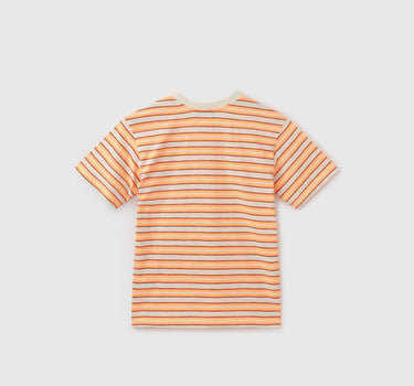 Regular Fit Round Neck Striped T-Shirt