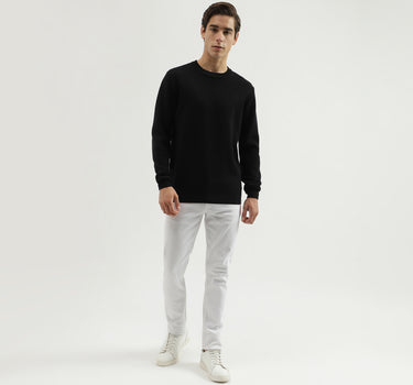 Men's Regular Fit Crew Neck Solid Sweater