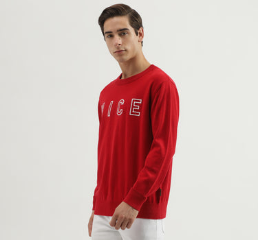 Men's Regular Fit Crew Neck Embroidered Sweater