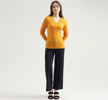 Women's Regular Fit V-Neck Solid Sweater