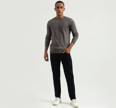 Men's Regular Fit Round Neck Solid Sweaters