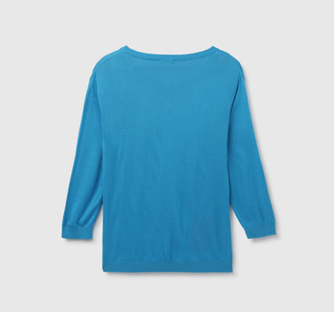 Women's Regular Fit V-Neck Solid Sweater