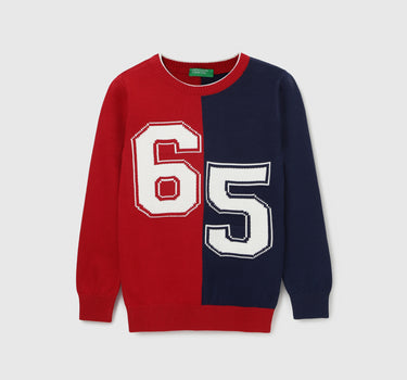 Boy's Regular Fit Crew Neck Colorblock Sweater