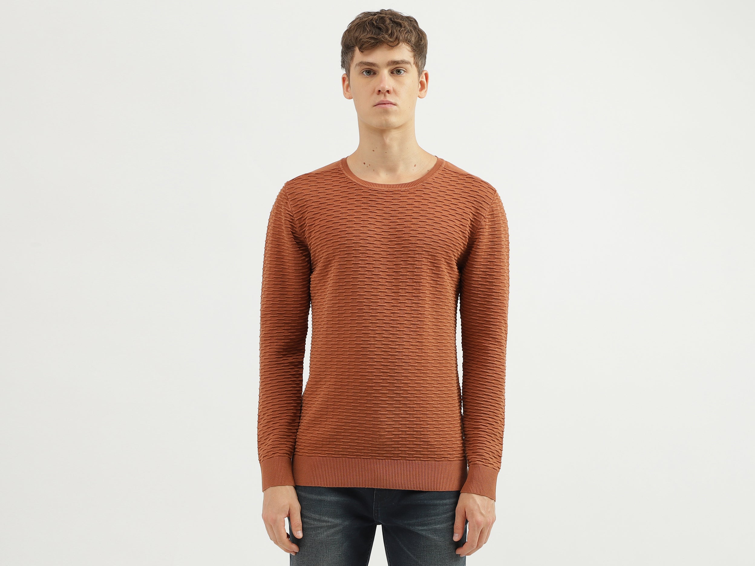 Men's Regular Fit Crew Neck Textured Sweater