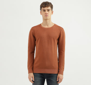 Men's Regular Fit Crew Neck Textured Sweater