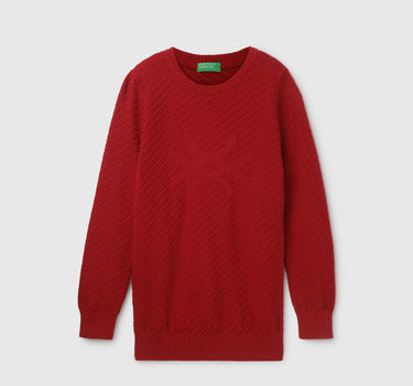 Boy's Regular Fit Round Neck Textured Sweater