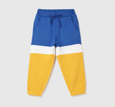 Regular Fit Colorblock Boy's Joggers