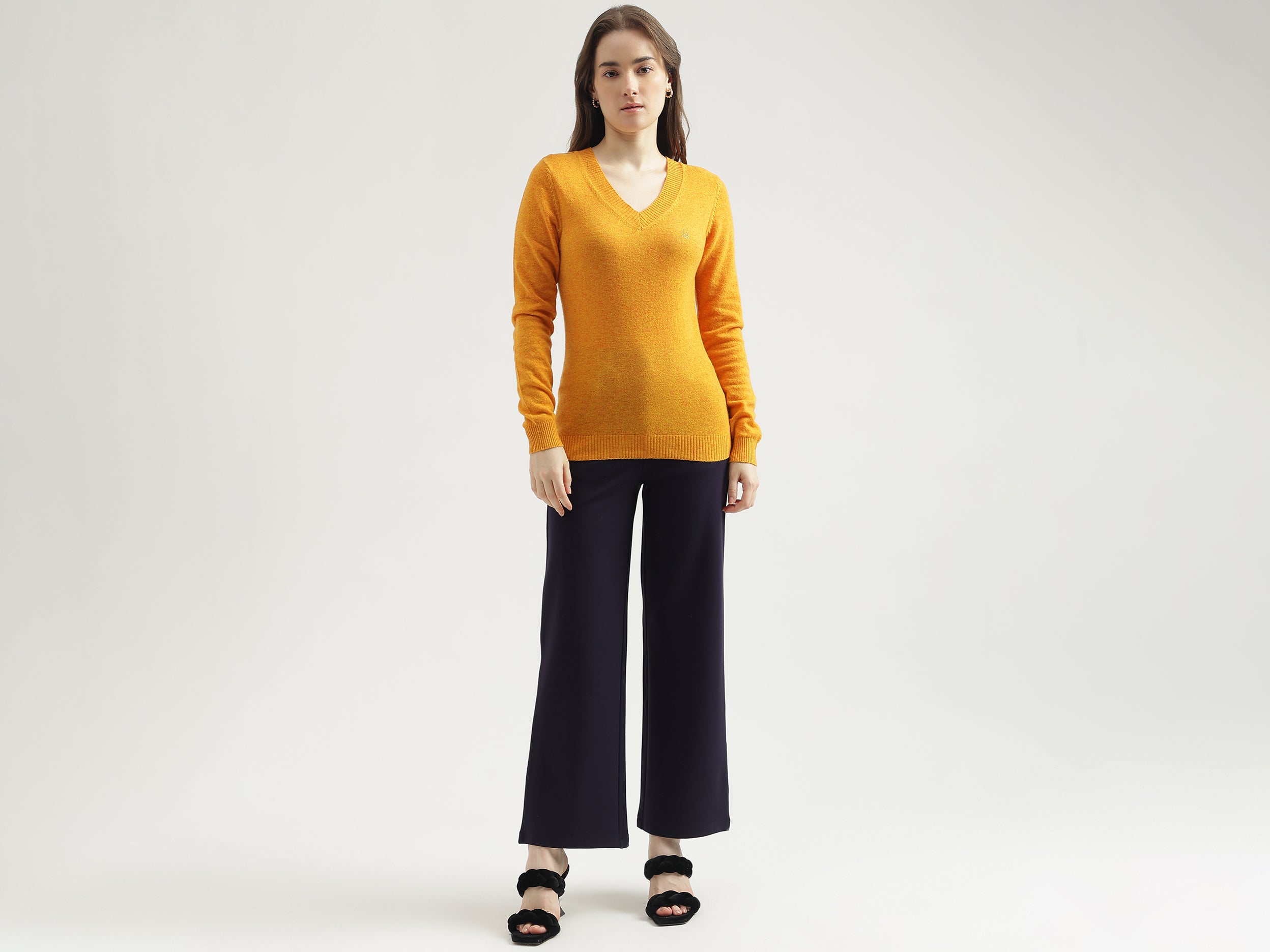 Women's Regular Fit V-Neck Solid Sweater